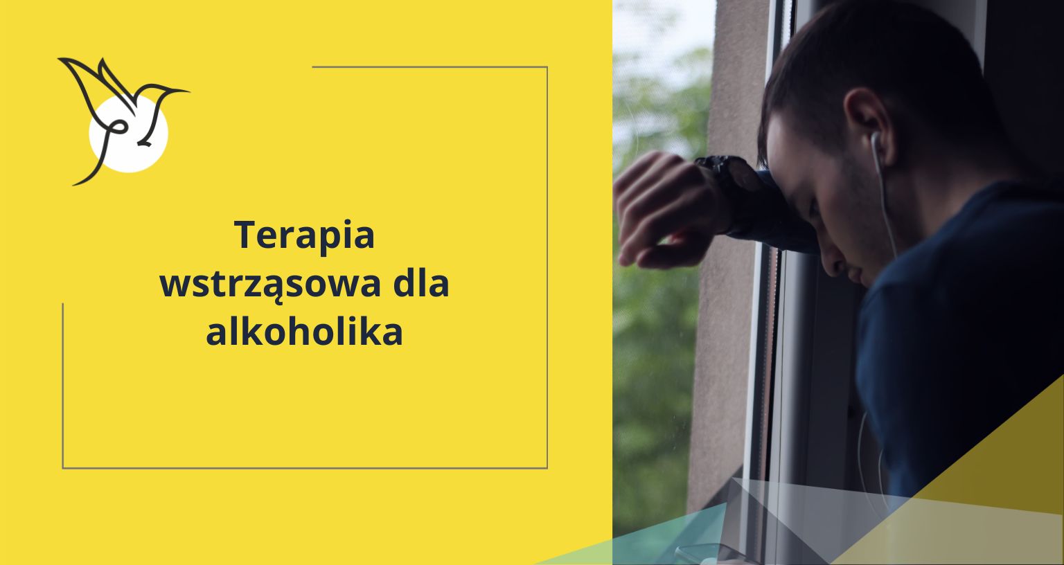 Najlepsza Książka Dla Alkoholika Forum Terapia wstrząsowa dla alkoholika